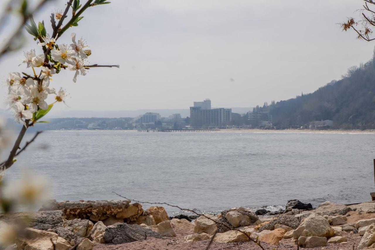 Villa Nora Αλμπένα Εξωτερικό φωτογραφία